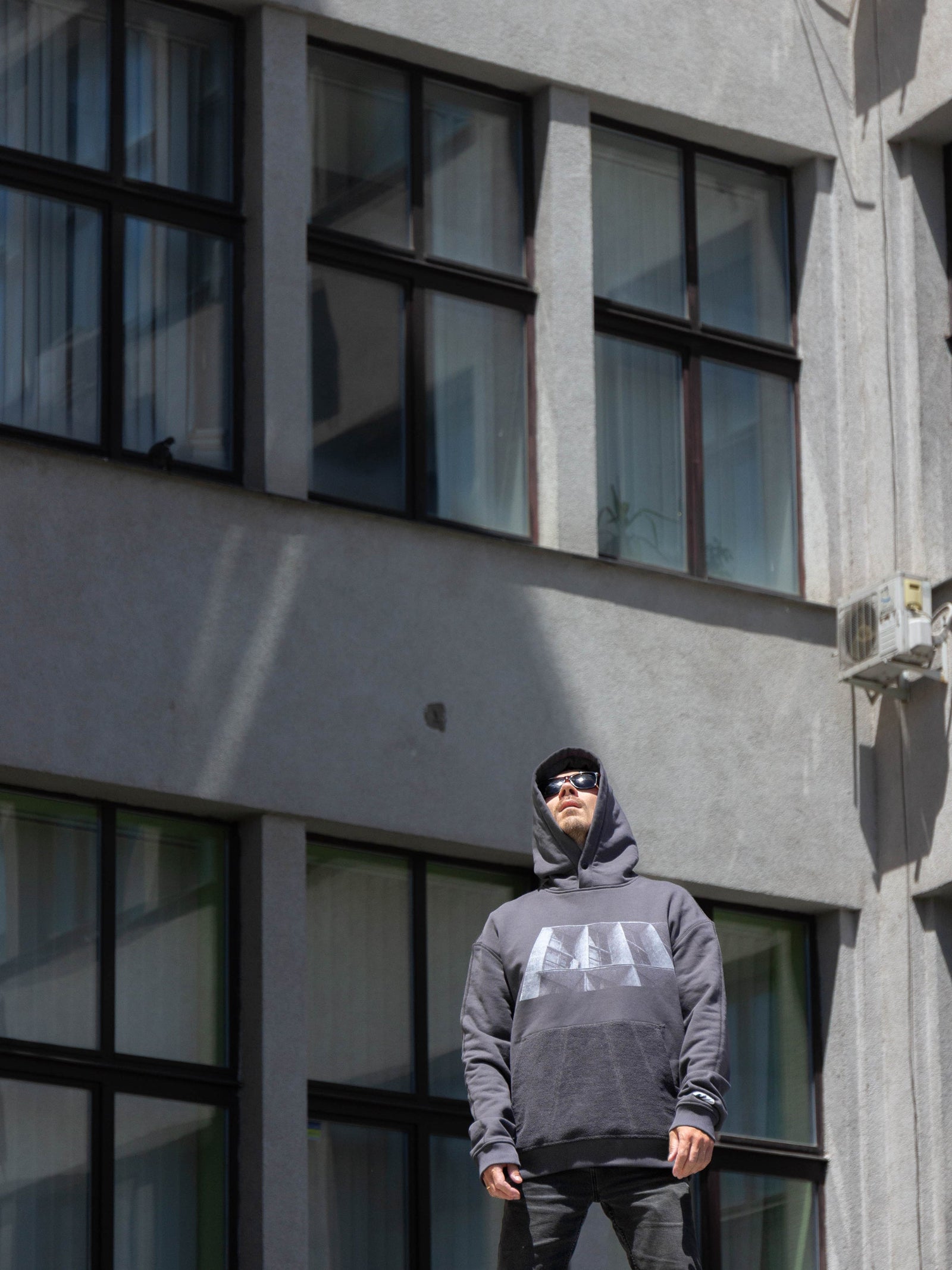 Hoodie | Section 13 |